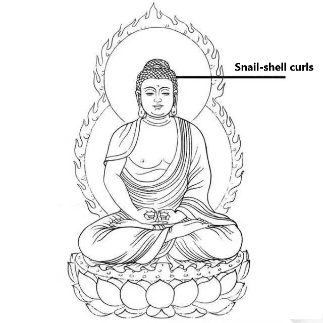 Buddha Statues Decorative Parts Snail-shell curls