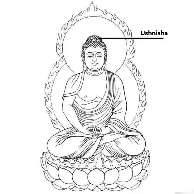 Buddha Statues Decorative Parts Ushnisha