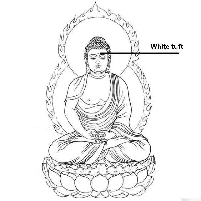 Buddha Statues Decorative Parts White tuft